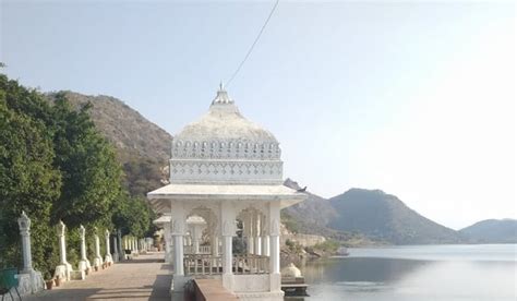 How Are Authorities Working to Conserve Mahaseer in Udaipur's Badi Lake, India's Sole Sanctuary ...