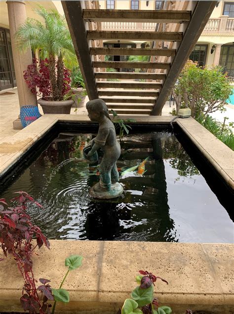 Koi Pond Maintenance Gallery - Gold N Koi