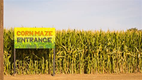 Best Corn Mazes Michigan Has To offer 2024