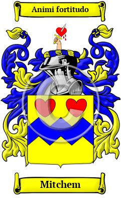 Mitchem Name Meaning, Family History, Family Crest & Coats of Arms