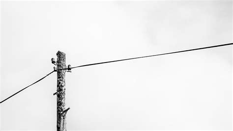 Telegraph Pole Photograph by Kate Morton - Fine Art America