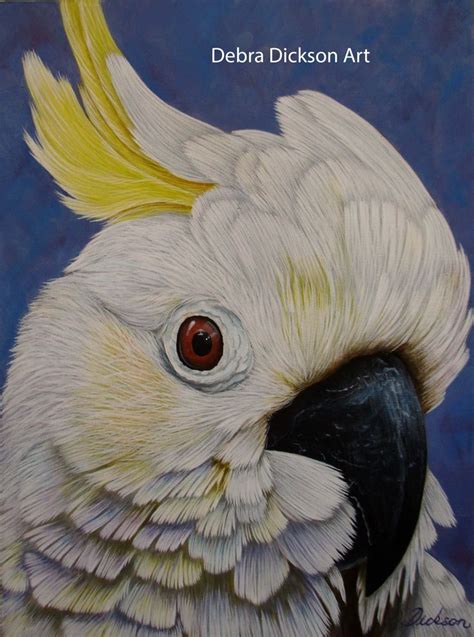 Cockatoo portrait | Cockatoo painting, Cockatoo, Bird artwork