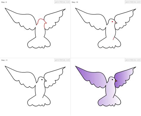 How To Draw A Dove Step By Step