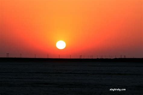 Rann Of Kutch : The White Salt Desert - Life and Its Experiments