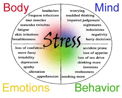 STRESS AND YOUR ADRENAL HORMONES - Consult Dr. Anderson