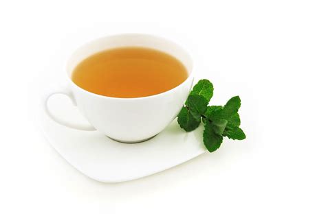 Tea | Free Stock Photo | A cup of mint tea on a white background | # 9514