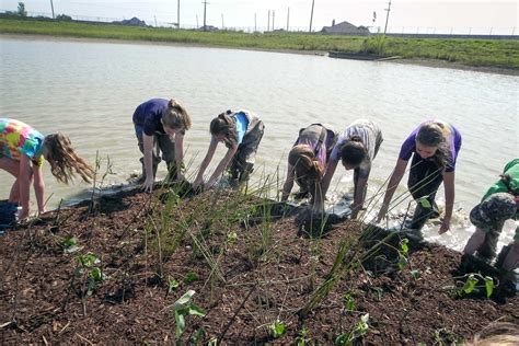 Floating Wetlands Project | University of Houston-Clear Lake