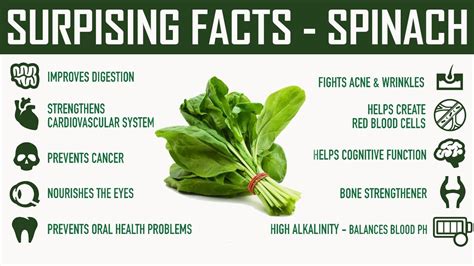 Nutrition Facts And Health Benefits Of Spinach | Spinach health benefits, Spinach benefits ...