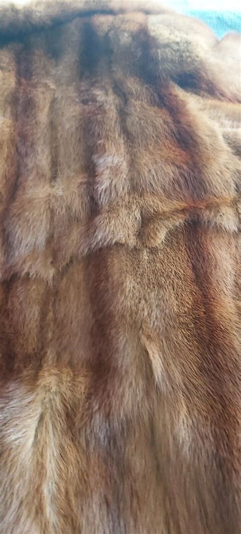 Fur Identification - Possibly Mink? - Fur Den - The Fur Den