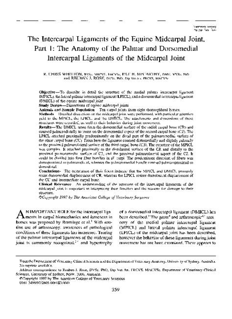 (PDF) The Intercarpal Ligaments of the Equine Midcarpal Joint, Part 1 ...