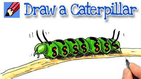 How to draw a caterpillar