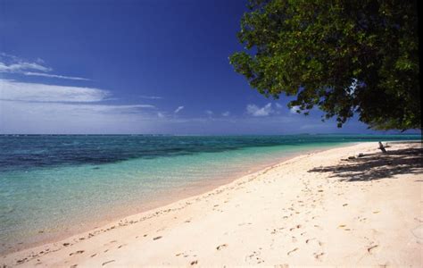 V73TM- Majuro Atoll- Marshall Islands- News- Information