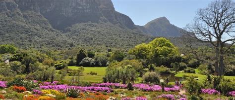 Arbnet | Kirstenbosch National Botanical Garden