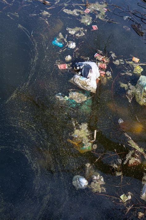 Garbage in dirty water stock photo. Image of dump, junk - 179862804