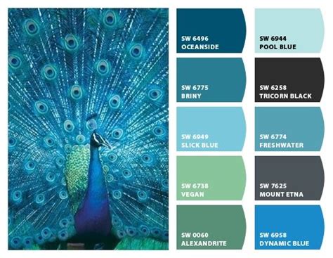 Chip It! by Sherwin-Williams | Peacock color scheme, Paint color schemes, Paint colors