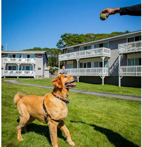 Pet Friendly Hotels Boothbay Harbor Maine - Boothbay Dog Friendly | Smuggler's Cove Inn