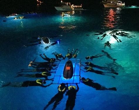 11 Best Manta Ray Night Snorkel Tours To Book In Kona