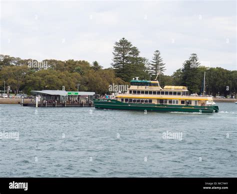 Sydney Ferry Wharf At Rose Bay Stock Photo - Alamy