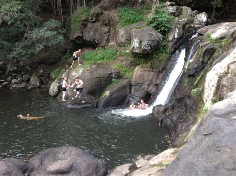 Byron Bay Hinterland: National Park and Waterfalls Tour | GetYourGuide