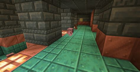 armadillos and dungeons : r/Minecraft