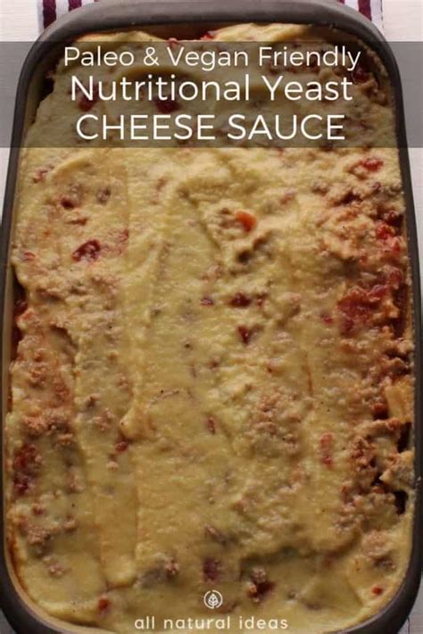 Paleo Nutritional Yeast Vegan Cheese Sauce Recipe | All Natural Ideas