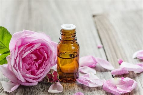 Infusing Oil With Rose Scent - How To Make A Homemade Rose Oil Infusion | Gardening Know How