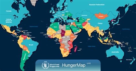 World Hunger Statistics Charts