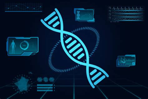 120+ Genetic Blueprint Stock Photos, Pictures & Royalty-Free Images - iStock