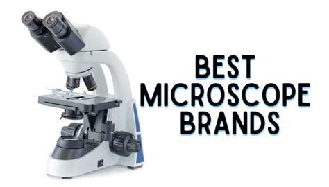 The Popular and Best Microscope Brands » Microscope Club