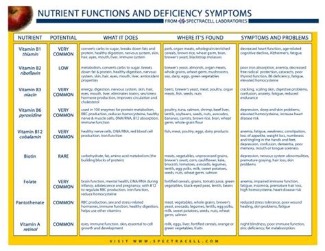 Vitamins, Minerals, Oh My! | Vitamins, Health chart, Vitamin deficiency symptoms