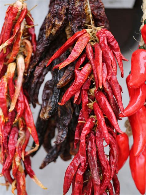 Drying Hot Peppers: Tips On How To Store Peppers | Gardening Know How