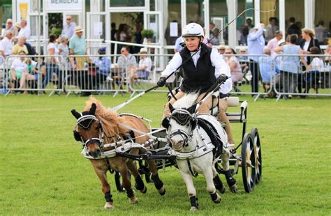 Driving Competition Horse Drawn Carriage Editorial Image - Image of historic, carriage: 124294205