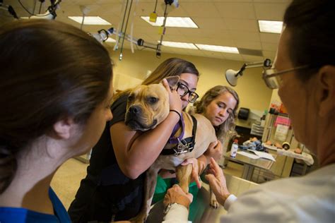 Health Sciences and Veterinary Technology || St. Petersburg College