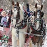 Warkworth Maple Syrup Festival 2024 in Peterborough