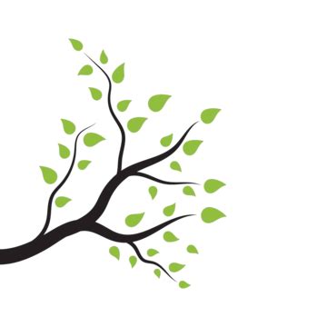 Tree Branch Vector Ilustration Design Curly Leaves Environment Vector ...