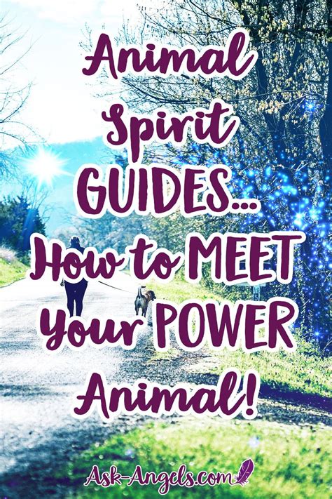 How to Find Out Your Animal Spirit Guides - Ask-Angels.com | Animal ...