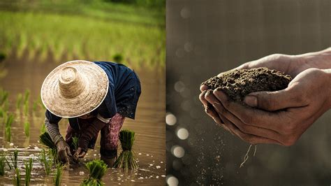 Understanding Land Reform in the Philippines