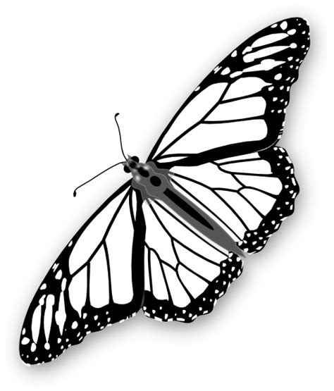 Monarch Butterfly Bw Clip Art at Clker.com - vector clip art online, royalty free & public domain