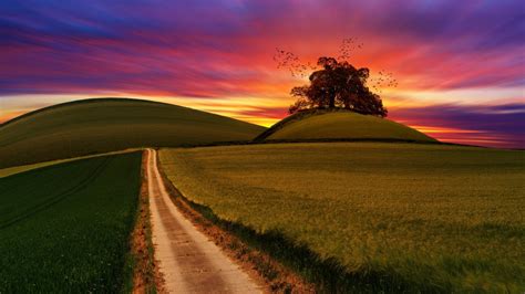 Free Images : ocaso, sky, nature, field, horizon, grassland, dawn ...