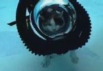 Scuba Diving Kitty Explained by HowStuffWorks