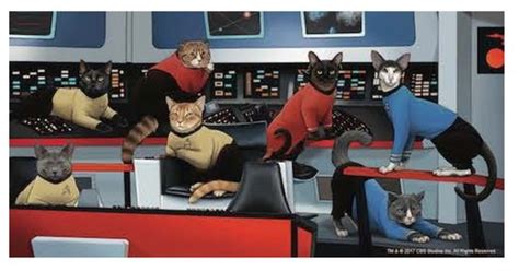 star trek cats calendar - Achieve A Good Memoir Diaporama