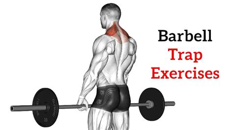 7 Best Barbell Trap Exercises For Mass and Strength