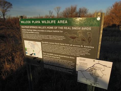 Willcox Playa Wildlife Area (AZ): Address, Attraction Reviews - TripAdvisor