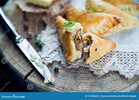 Traditional Polish Fried Pierogi Stock Image - Image of calzone, food: 37230603