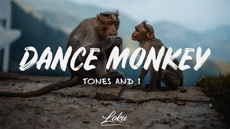 Dance Monkey Wallpapers - Top Free Dance Monkey Backgrounds - WallpaperAccess