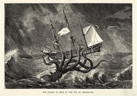 The real-life origins of the legendary Kraken | IBTimes UK