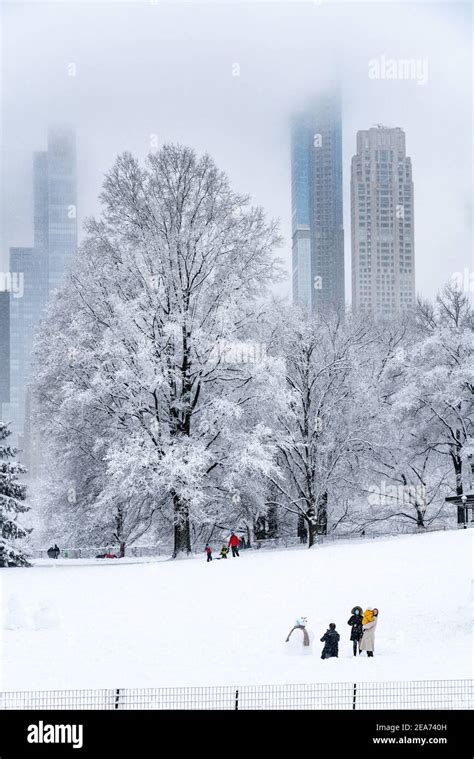 People building a snowman in Central Park during a snow storm Stock ...