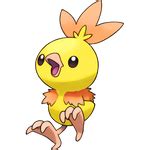 Shiny Torchic - Pokemon Go