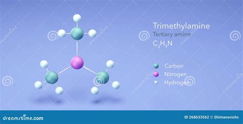 Trimethylamine Molecule, Molecular Structures, Tertiary Amine, 3d Model, Structural Chemical ...