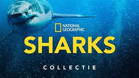 Kijk alles van National Geographic: Sharks | Disney+